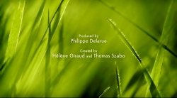 خیلی خیلی کوچک (2) (با حداکثر سرعت)